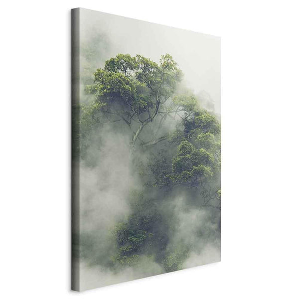 Quadro - Foggy Amazon (1 Part) Vertical