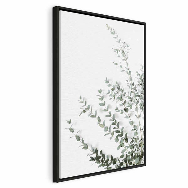 Quadro - Eucalyptus Parvifolia (1 Part) Vertical