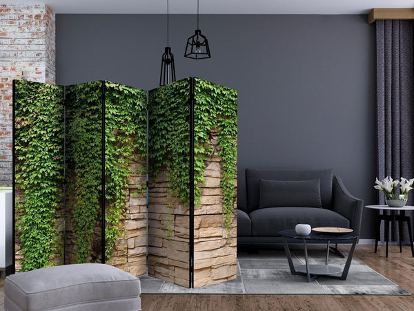 Paravento - Ivy wall II