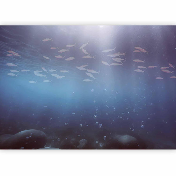 Carta da parati - Fish in the depths