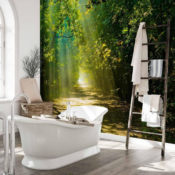 Carta da parati - Road in Sunlight