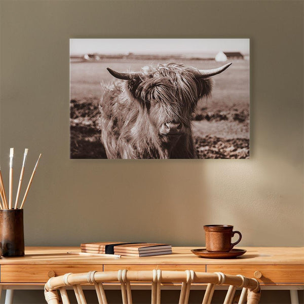 Quadro - A Scottish Cow in Sepia
