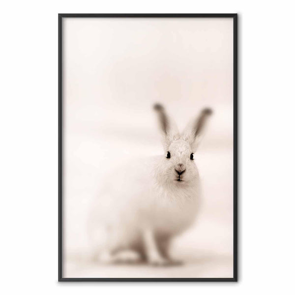 Poster - Fearful Look