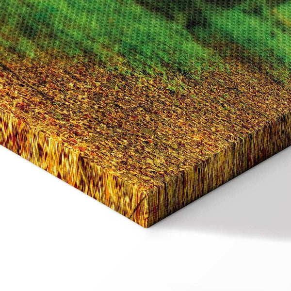 Quadro - Magic Forest