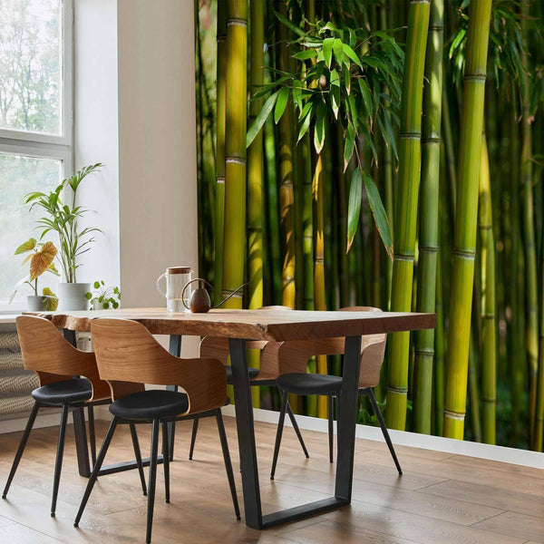 Carta da parati - Eucalyptus alley – bamboo grove in juicy green tone