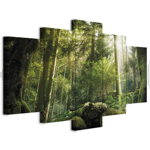 Quadro - The Beauty of the Forest