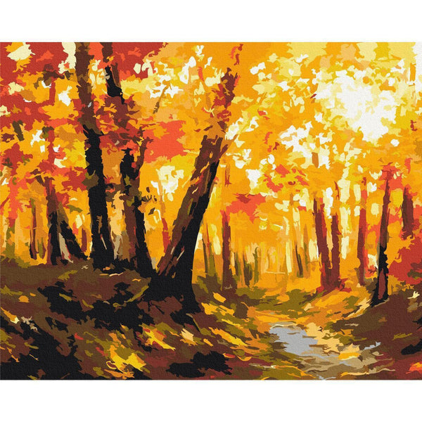 Quadro fai da te - Forest Track