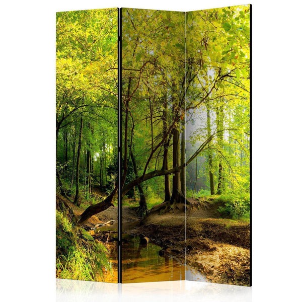 Paravento - Forest Clearing