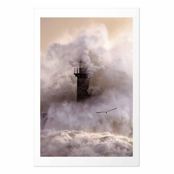 Poster - Storm