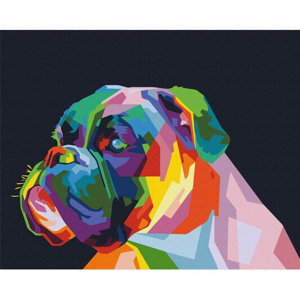 Quadro fai da te - Colourful Boxer