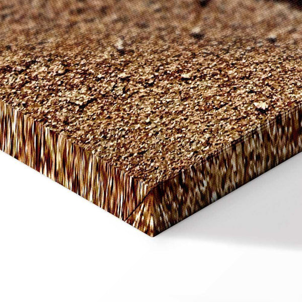 Quadro - Feather on the Sand (1 Part) Vertical
