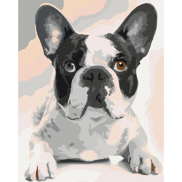 Quadro fai da te - French Bulldog