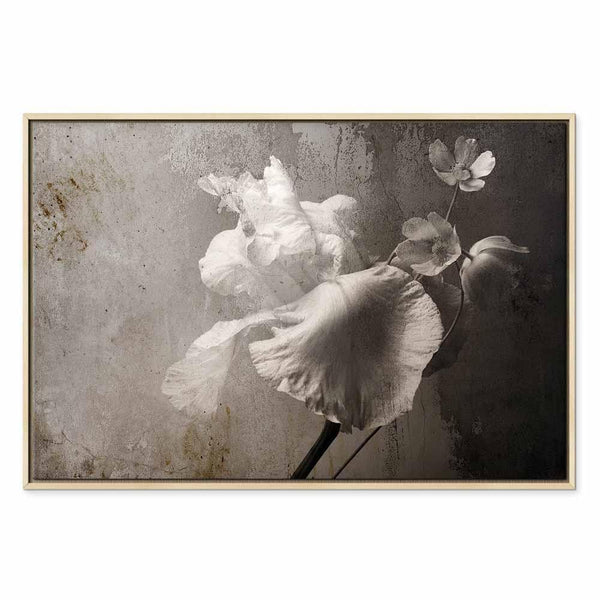 Quadro - Venetian Splendor (1 Part) Wide