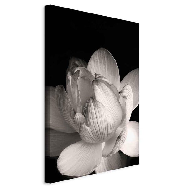 Quadro - Delicacy of Petals in Nature (1-part) - Flower in Black and White
