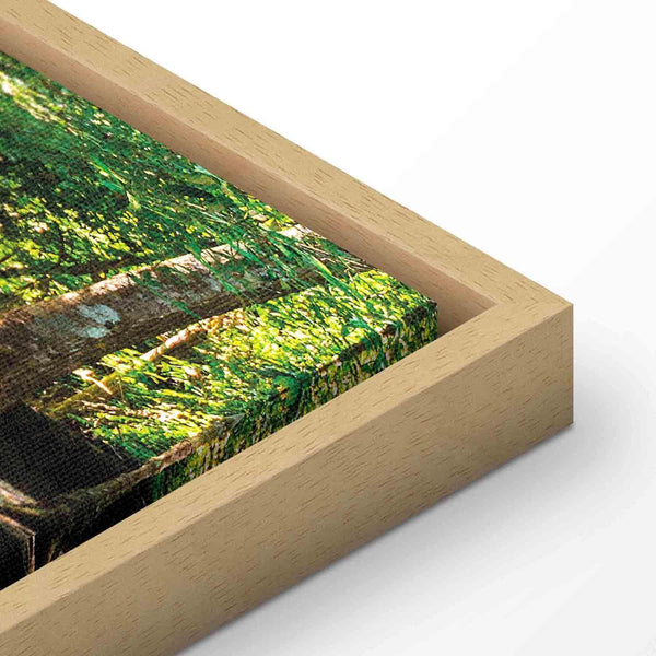 Quadro - Nature: Forest Waterfall