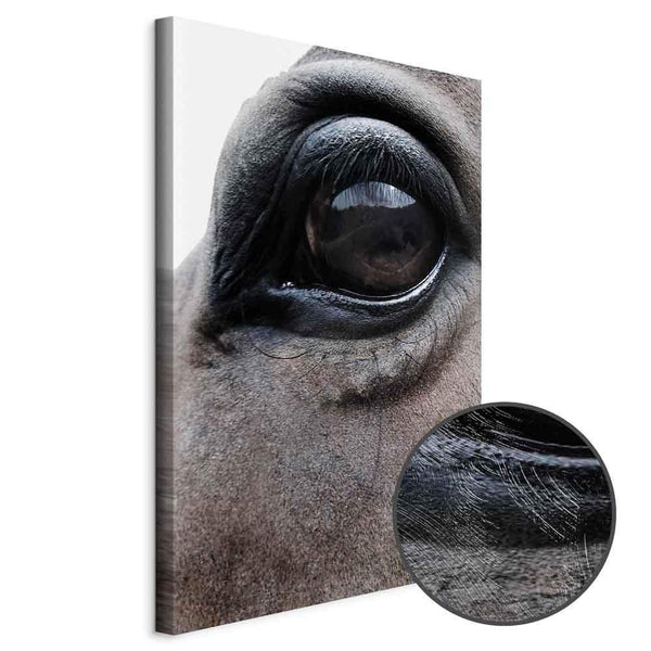 Quadro - Honest Eyes (1 Part) Vertical