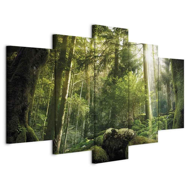 Quadro - The Beauty of the Forest