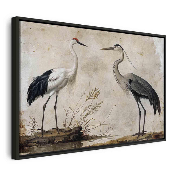 Quadro - Birds from an old engraving - vintage-style illustration depicting a heron and a crane