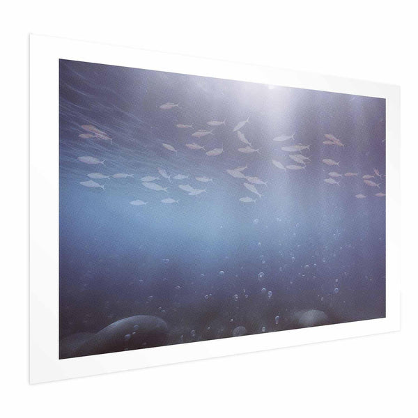 Poster - Fish in the Depths