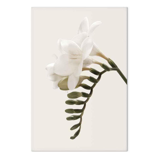 Quadro - Spring Headdress (1 Part) Vertical