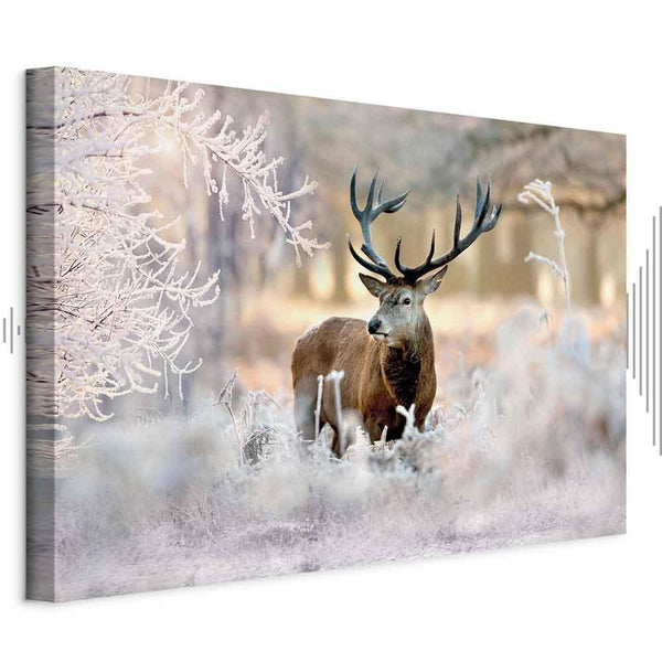 Quadro - Deer in the Cold