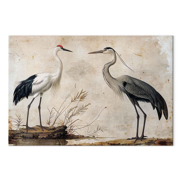 Quadro - Birds from an old engraving - vintage-style illustration depicting a heron and a crane