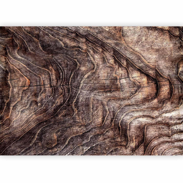 Carta da parati - Signs of the times - an abstract background with the wrinkled bark of an old tree