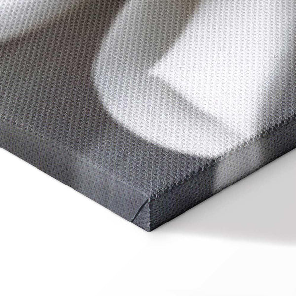 Quadro - White Dahlia