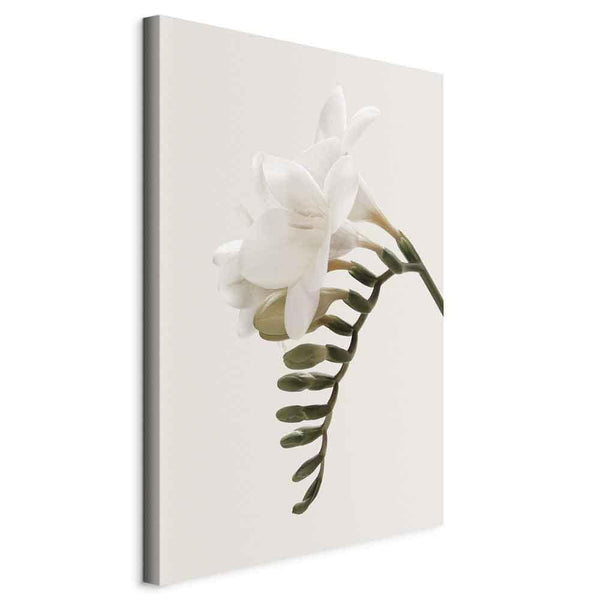 Quadro - Spring Headdress (1 Part) Vertical