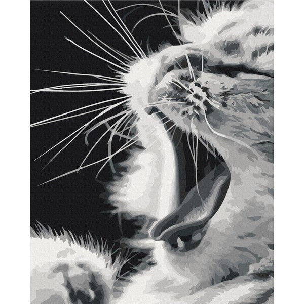 Quadro fai da te - Yawning Kitten