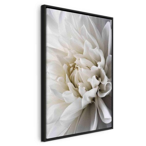 Quadro - White Dahlia