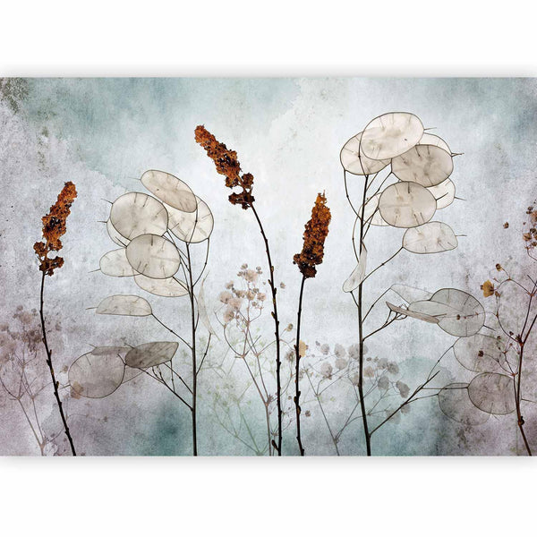 Carta da parati - Lunaria in the Meadow