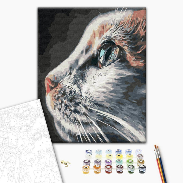 Quadro fai da te - Feline majesty