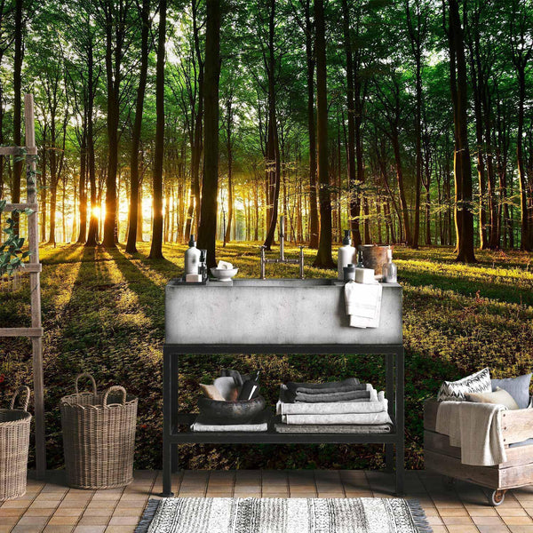 Carta da parati - Mystical Morning