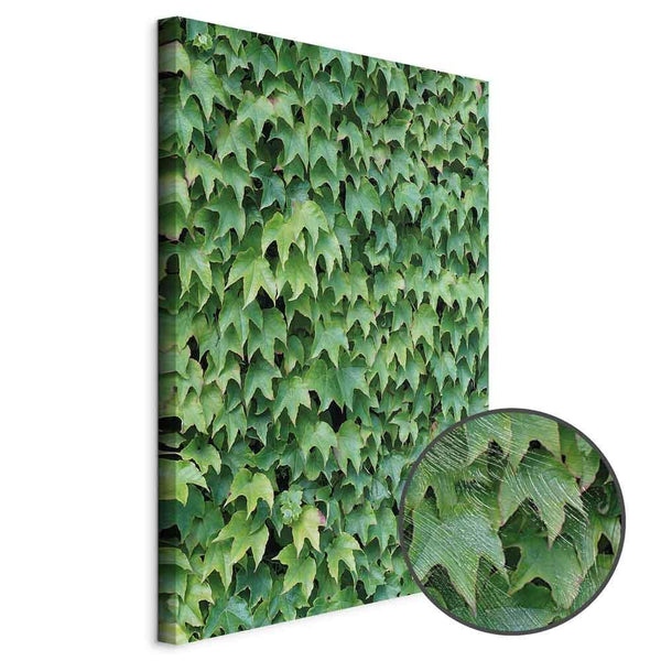 Quadro - Thick Ivy (1 Part) Vertical