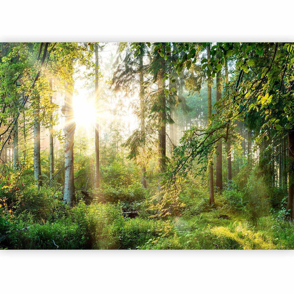Carta da parati - Untamed Nature