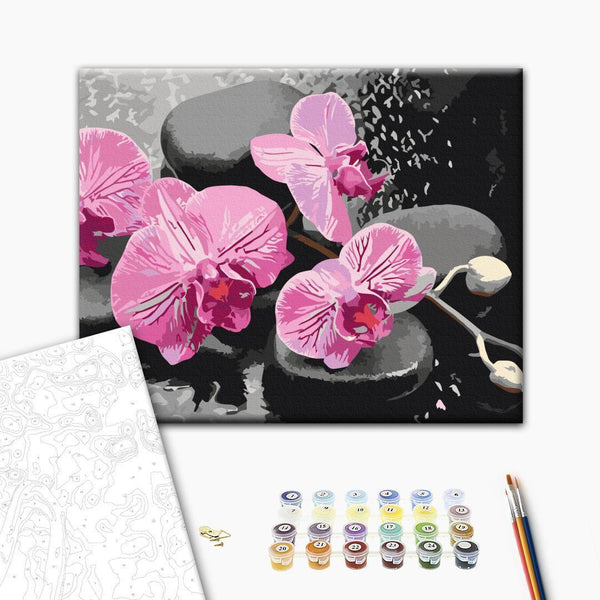 Quadro fai da te - Orchid With Zen Stones (Black Background)
