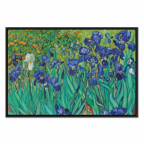 Quadro - Vincent Van Gogh – Iryses