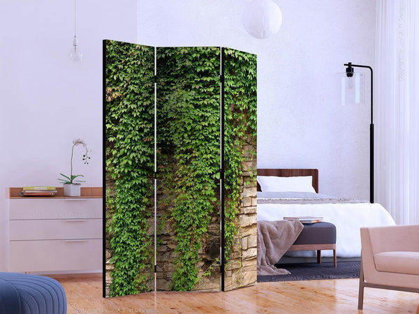 Paravento - Ivy wall