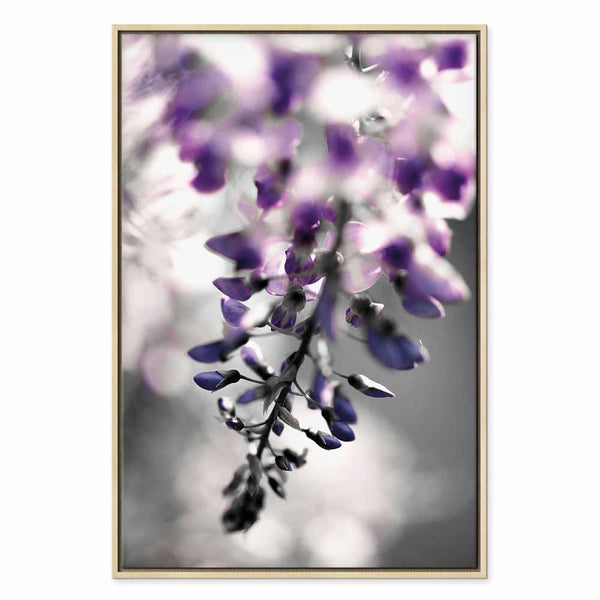 Quadro - Violet Ringtones (1 Part) Vertical