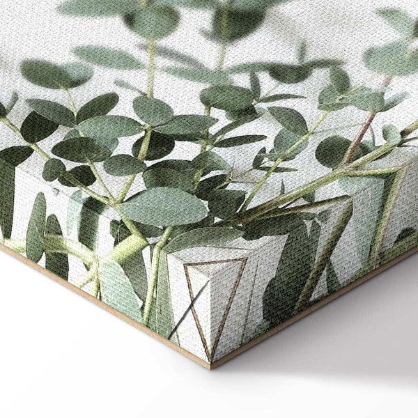 Quadro - Eucalyptus Parvifolia (1 Part) Vertical