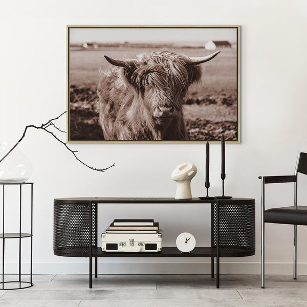 Quadro - A Scottish Cow in Sepia