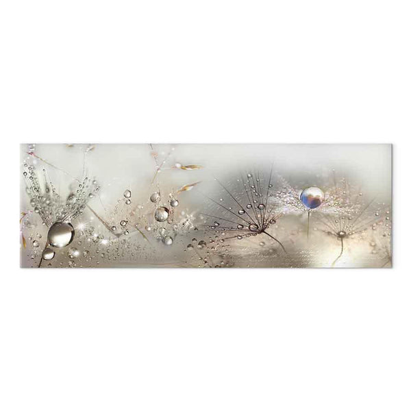 Quadro - Morning Song