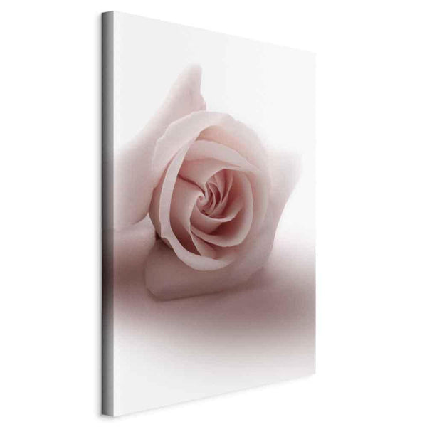 Quadro - Floral Glamour Glow (1-part) - Delicate and Pastel Pink Rose