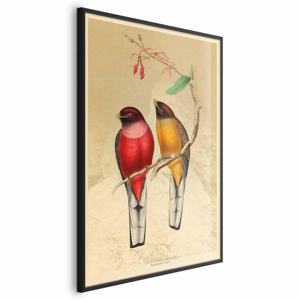 Poster - Birds on a Branch