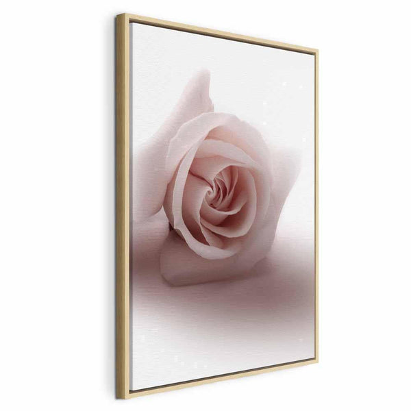 Quadro - Floral Glamour Glow (1-part) - Delicate and Pastel Pink Rose