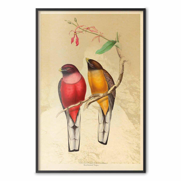 Poster - Birds on a Branch