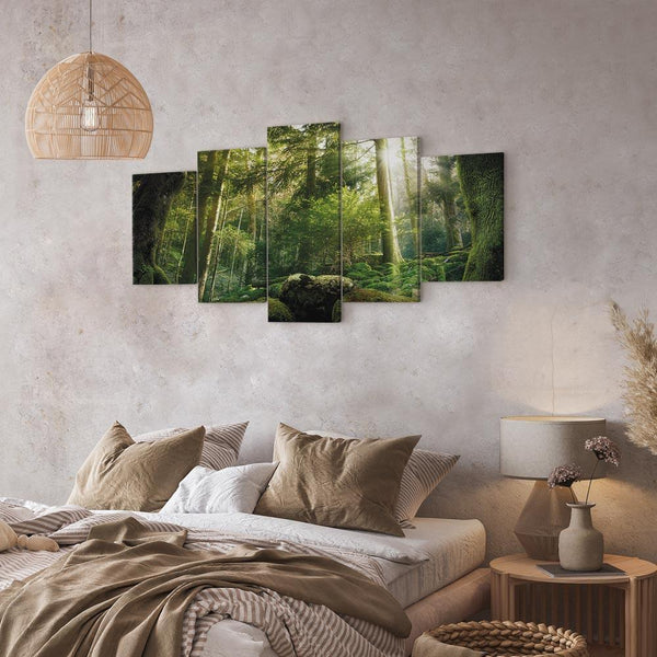 Quadro - The Beauty of the Forest