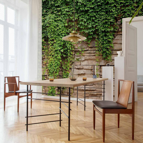 Carta da parati - Ivy wall