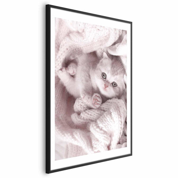 Poster - Lover of Rest